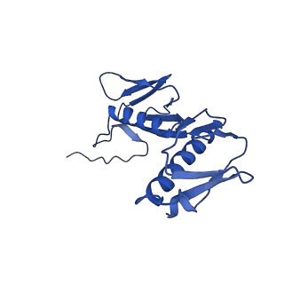 17667_8phj_g_v1-0
cA4-bound Cami1 in complex with 70S ribosome