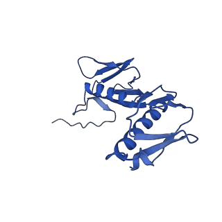 17667_8phj_g_v1-1
cA4-bound Cami1 in complex with 70S ribosome