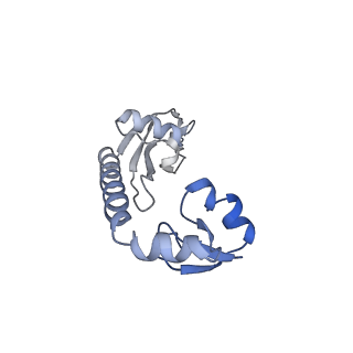 17667_8phj_h_v1-0
cA4-bound Cami1 in complex with 70S ribosome