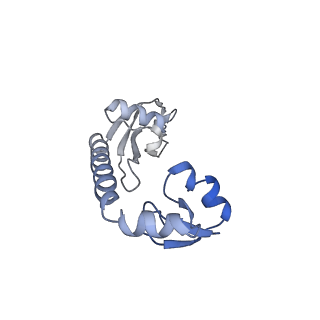 17667_8phj_h_v1-1
cA4-bound Cami1 in complex with 70S ribosome