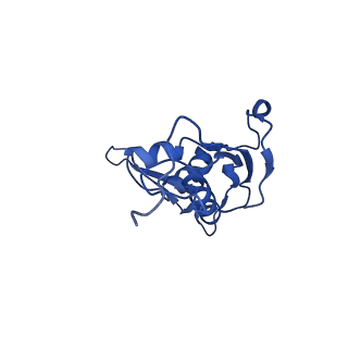 17667_8phj_i_v1-0
cA4-bound Cami1 in complex with 70S ribosome