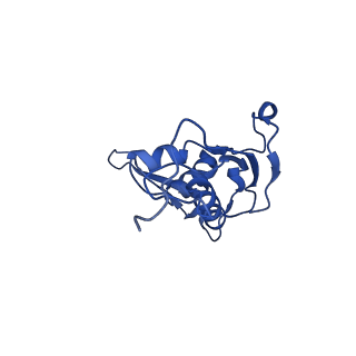 17667_8phj_i_v1-1
cA4-bound Cami1 in complex with 70S ribosome