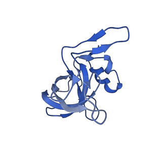 17667_8phj_j_v1-0
cA4-bound Cami1 in complex with 70S ribosome
