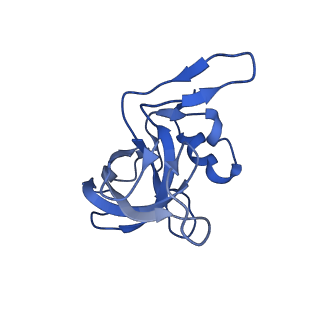 17667_8phj_j_v1-1
cA4-bound Cami1 in complex with 70S ribosome