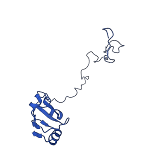 17667_8phj_k_v1-0
cA4-bound Cami1 in complex with 70S ribosome