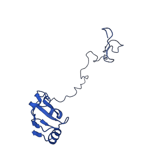 17667_8phj_k_v1-1
cA4-bound Cami1 in complex with 70S ribosome