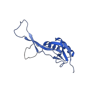 17667_8phj_l_v1-0
cA4-bound Cami1 in complex with 70S ribosome