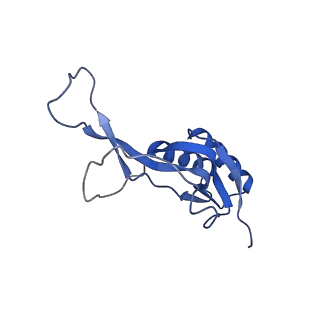 17667_8phj_l_v1-1
cA4-bound Cami1 in complex with 70S ribosome