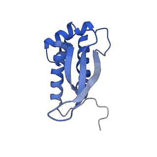 17667_8phj_m_v1-0
cA4-bound Cami1 in complex with 70S ribosome