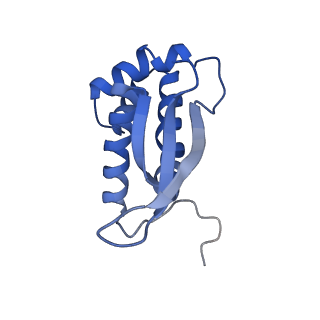 17667_8phj_m_v1-1
cA4-bound Cami1 in complex with 70S ribosome