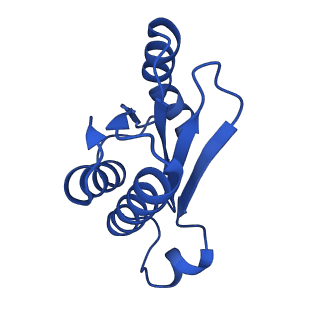 17667_8phj_n_v1-0
cA4-bound Cami1 in complex with 70S ribosome