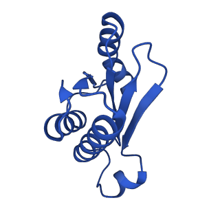 17667_8phj_n_v1-1
cA4-bound Cami1 in complex with 70S ribosome