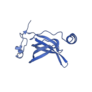 17667_8phj_o_v1-0
cA4-bound Cami1 in complex with 70S ribosome