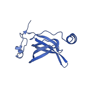 17667_8phj_o_v1-1
cA4-bound Cami1 in complex with 70S ribosome