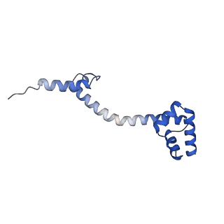 17667_8phj_p_v1-0
cA4-bound Cami1 in complex with 70S ribosome