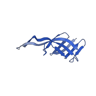 17667_8phj_q_v1-0
cA4-bound Cami1 in complex with 70S ribosome
