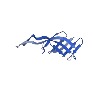 17667_8phj_q_v1-1
cA4-bound Cami1 in complex with 70S ribosome