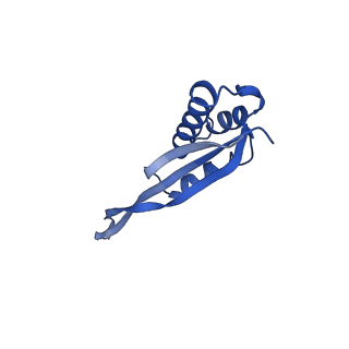 17667_8phj_r_v1-1
cA4-bound Cami1 in complex with 70S ribosome