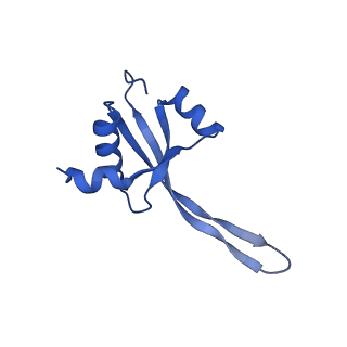 17667_8phj_s_v1-0
cA4-bound Cami1 in complex with 70S ribosome