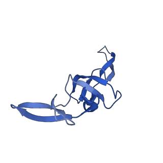 17667_8phj_t_v1-0
cA4-bound Cami1 in complex with 70S ribosome