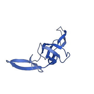 17667_8phj_t_v1-1
cA4-bound Cami1 in complex with 70S ribosome