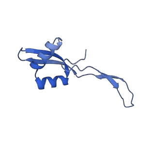 17667_8phj_w_v1-1
cA4-bound Cami1 in complex with 70S ribosome