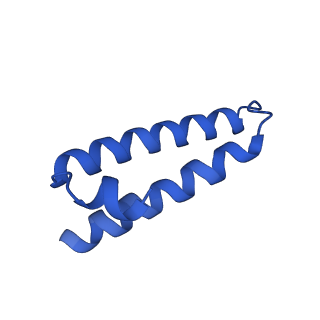 17667_8phj_x_v1-1
cA4-bound Cami1 in complex with 70S ribosome