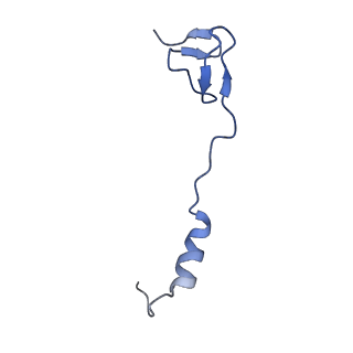 17667_8phj_z_v1-0
cA4-bound Cami1 in complex with 70S ribosome