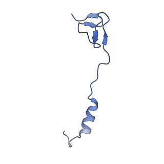 17667_8phj_z_v1-1
cA4-bound Cami1 in complex with 70S ribosome