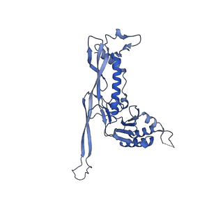 17671_8phq_AC_v1-2
Top cap of the Borrelia bacteriophage BB1 procapsid, fivefold-symmetrized outer shell