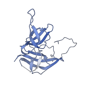 17671_8phq_AE_v1-2
Top cap of the Borrelia bacteriophage BB1 procapsid, fivefold-symmetrized outer shell