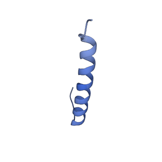 17671_8phq_AG_v1-2
Top cap of the Borrelia bacteriophage BB1 procapsid, fivefold-symmetrized outer shell