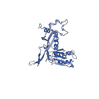 17671_8phq_AT_v1-2
Top cap of the Borrelia bacteriophage BB1 procapsid, fivefold-symmetrized outer shell