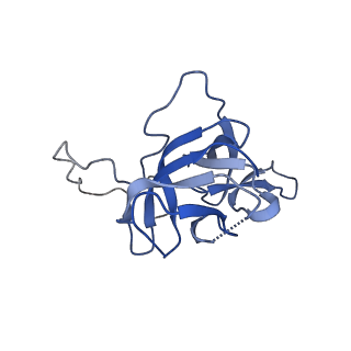 17671_8phq_AV_v1-2
Top cap of the Borrelia bacteriophage BB1 procapsid, fivefold-symmetrized outer shell