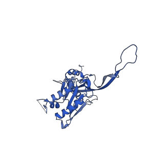 17671_8phq_BB_v1-2
Top cap of the Borrelia bacteriophage BB1 procapsid, fivefold-symmetrized outer shell