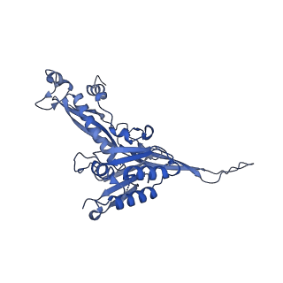 17671_8phq_BK_v1-2
Top cap of the Borrelia bacteriophage BB1 procapsid, fivefold-symmetrized outer shell
