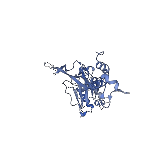 17671_8phq_BM_v1-2
Top cap of the Borrelia bacteriophage BB1 procapsid, fivefold-symmetrized outer shell
