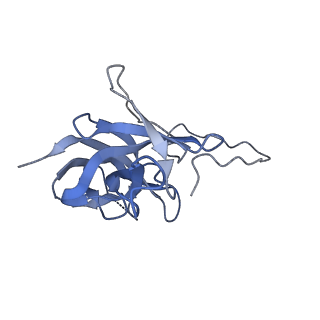 17671_8phq_BO_v1-2
Top cap of the Borrelia bacteriophage BB1 procapsid, fivefold-symmetrized outer shell