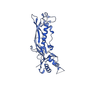 17671_8phq_BT_v1-2
Top cap of the Borrelia bacteriophage BB1 procapsid, fivefold-symmetrized outer shell