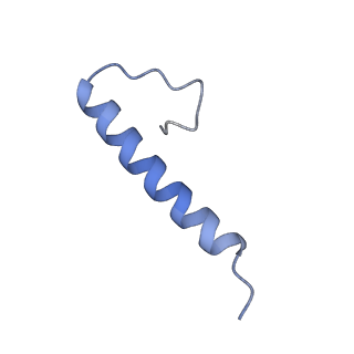 17671_8phq_BZ_v1-2
Top cap of the Borrelia bacteriophage BB1 procapsid, fivefold-symmetrized outer shell