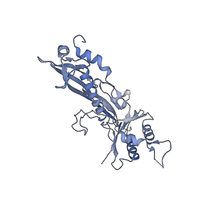 17671_8phq_CC_v1-2
Top cap of the Borrelia bacteriophage BB1 procapsid, fivefold-symmetrized outer shell
