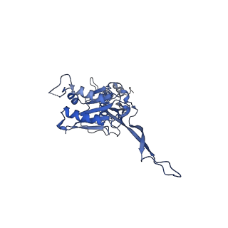 17671_8phq_CD_v1-2
Top cap of the Borrelia bacteriophage BB1 procapsid, fivefold-symmetrized outer shell