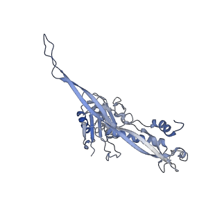 17671_8phq_CE_v1-2
Top cap of the Borrelia bacteriophage BB1 procapsid, fivefold-symmetrized outer shell