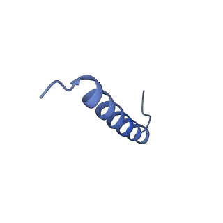 17671_8phq_CJ_v1-2
Top cap of the Borrelia bacteriophage BB1 procapsid, fivefold-symmetrized outer shell
