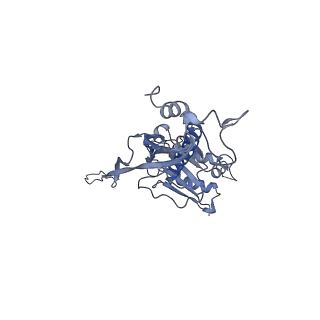 17671_8phq_CN_v1-2
Top cap of the Borrelia bacteriophage BB1 procapsid, fivefold-symmetrized outer shell