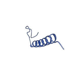 17671_8phq_CS_v1-2
Top cap of the Borrelia bacteriophage BB1 procapsid, fivefold-symmetrized outer shell