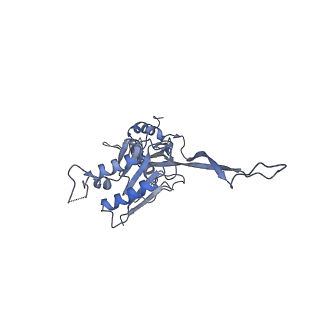 17671_8phq_CU_v1-2
Top cap of the Borrelia bacteriophage BB1 procapsid, fivefold-symmetrized outer shell