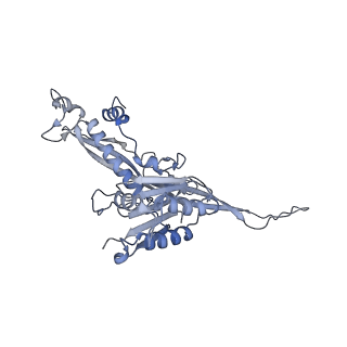 17671_8phq_CV_v1-2
Top cap of the Borrelia bacteriophage BB1 procapsid, fivefold-symmetrized outer shell