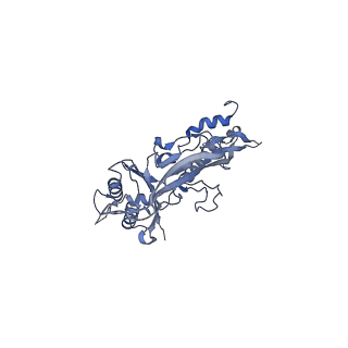17672_8phr_A_v1-2
Middle part of the Borrelia bacteriophage BB1 procapsid, tenfold-symmetrized outer shell