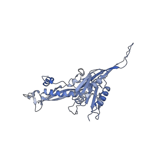 17672_8phr_B_v1-2
Middle part of the Borrelia bacteriophage BB1 procapsid, tenfold-symmetrized outer shell